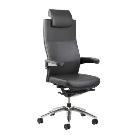 BAG Buerosysteme Produktwelten Shop Viasit TORO Chefsessel