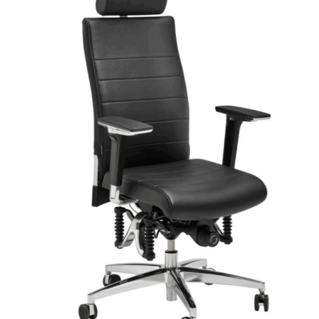 Haider Bioswing 660 iQ Bestseller Leder