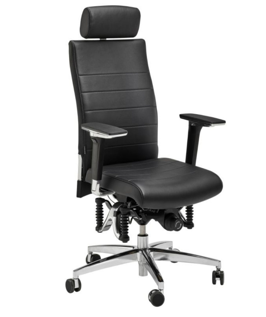 Haider Bioswing 660 iQ Bestseller Leder