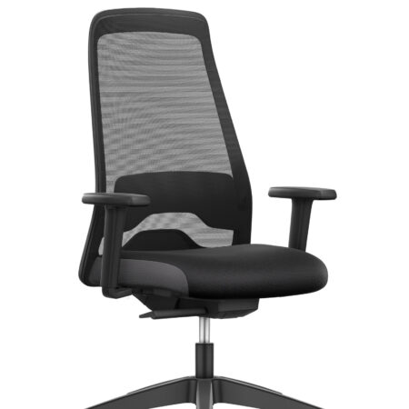 Interstuhl EVERYis1  EV257