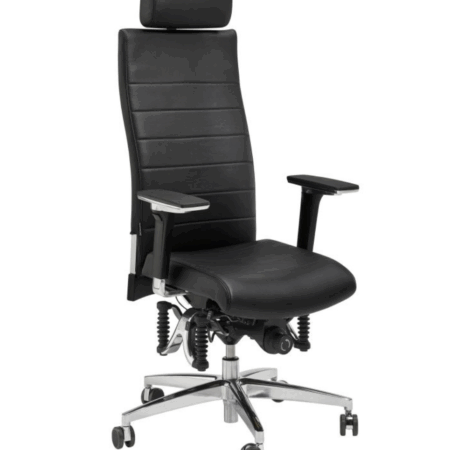 Haider Bioswing 670 iQ Bestseller Leder