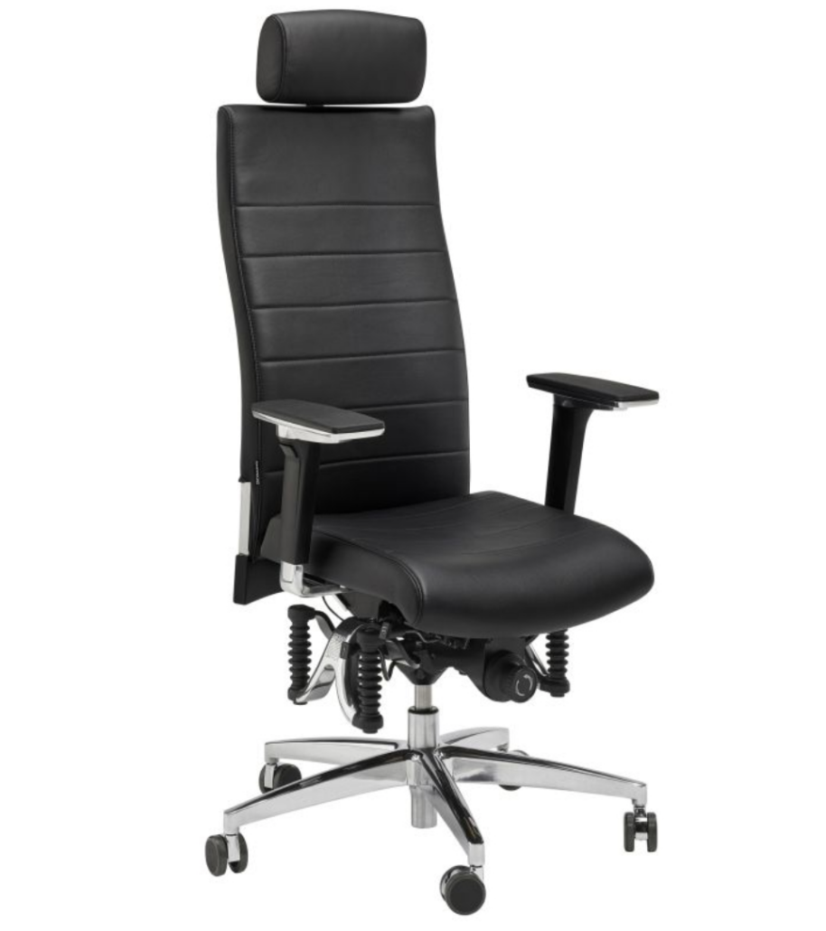 Haider Bioswing 670 iQ Bestseller Leder